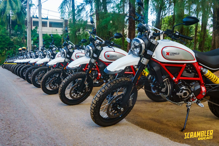 World Launch 2019 803cc Ducati Scrambler Icon Desert Sled Australian Motorcycle News
