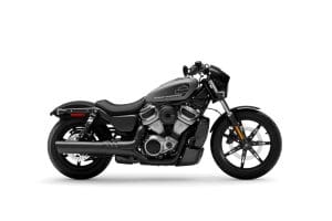 2022 NIGHTSTER